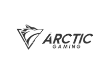 Artic Gaming